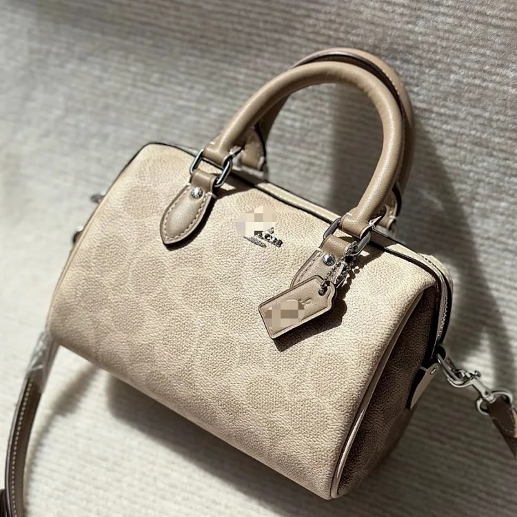 Louis Vuitton Rowan 18 classic presbyopia Boston pillow bag mini portable crossbody cute women's bag