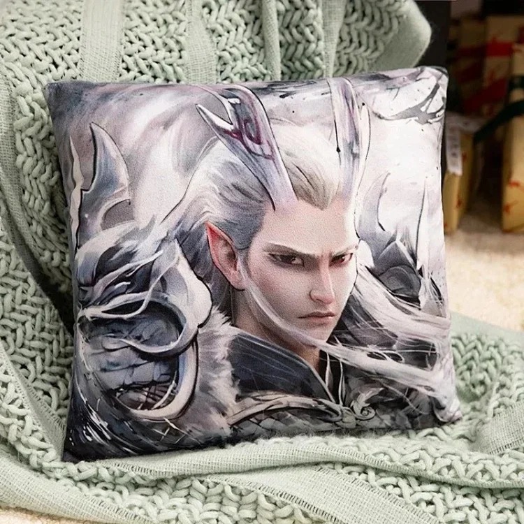 2 pillow living room sofa pillow： image 5
