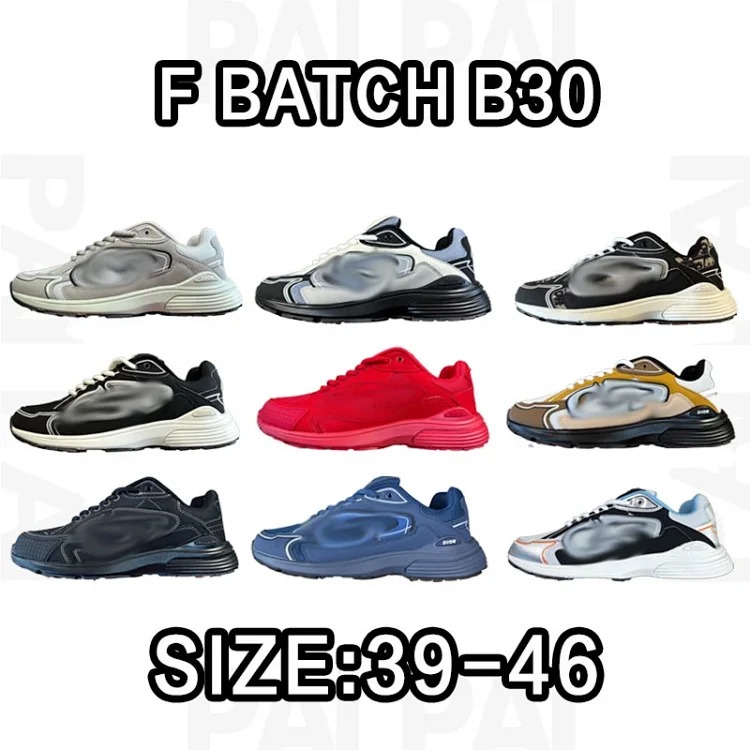 Dior E batch B30