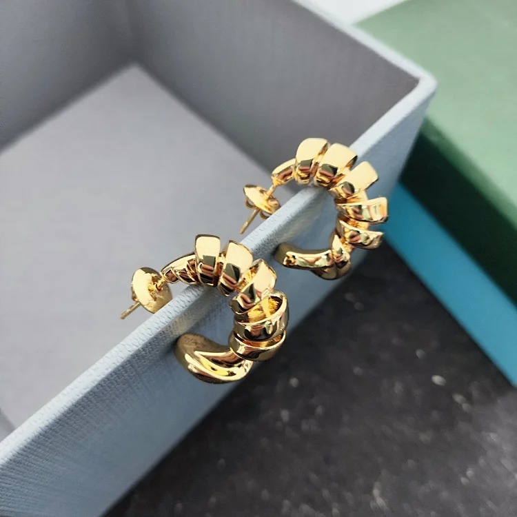 Italian style BV spring leaf wrapped hoop earrings, personalized cold style street earrings, versatile bloggers' same style earrings ins