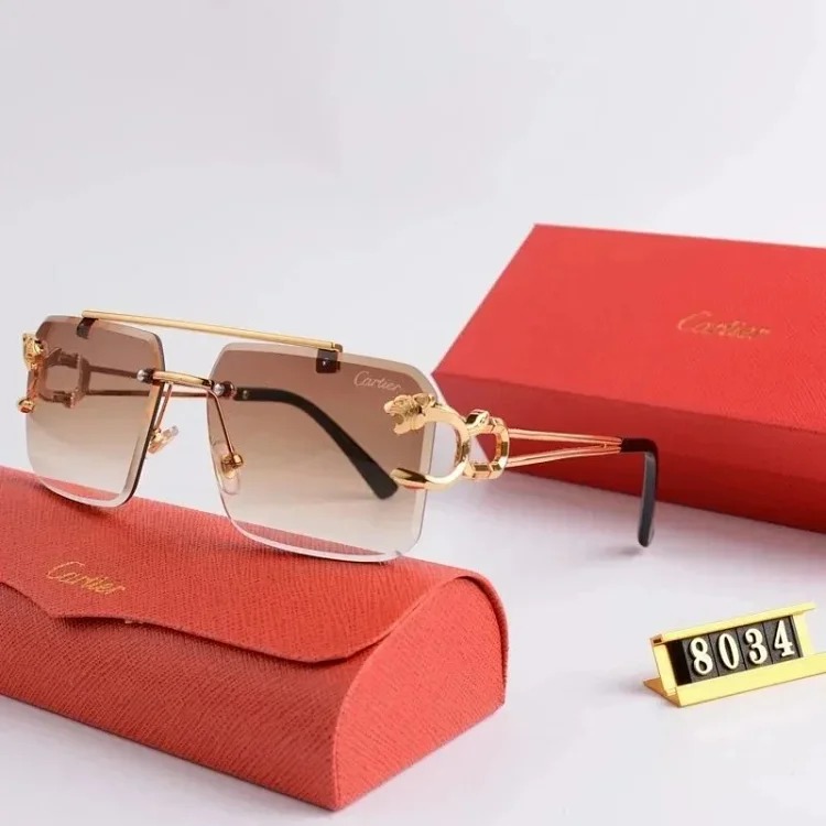 Fashion trendy sunglasses 005