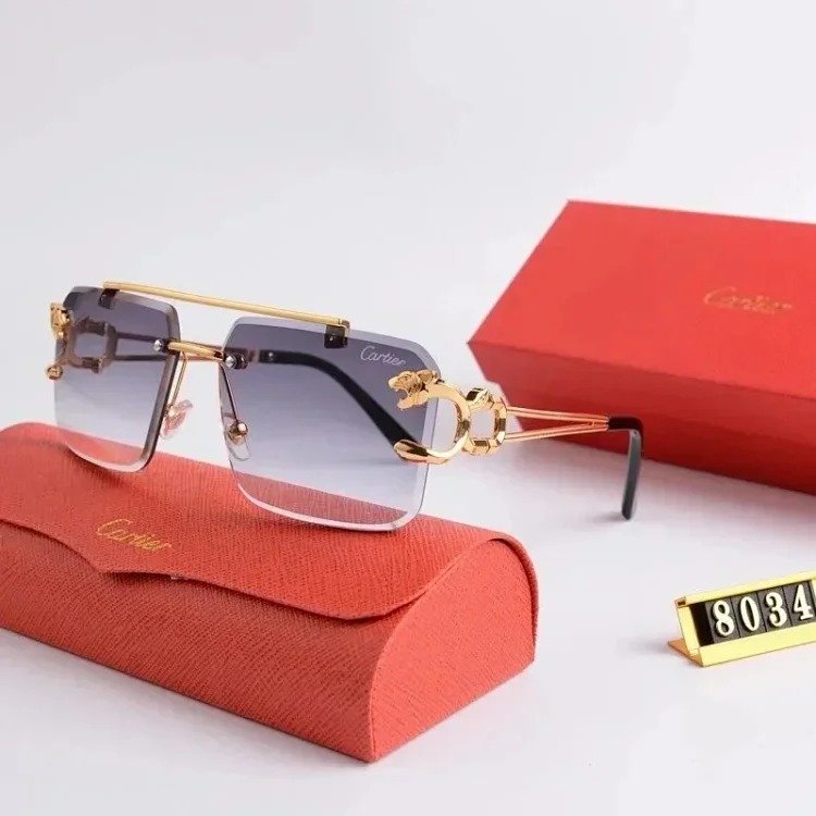 Fashion trendy sunglasses 005