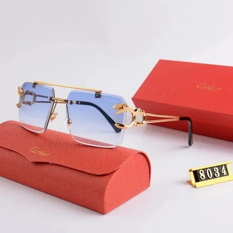 Fashion trendy sunglasses 005