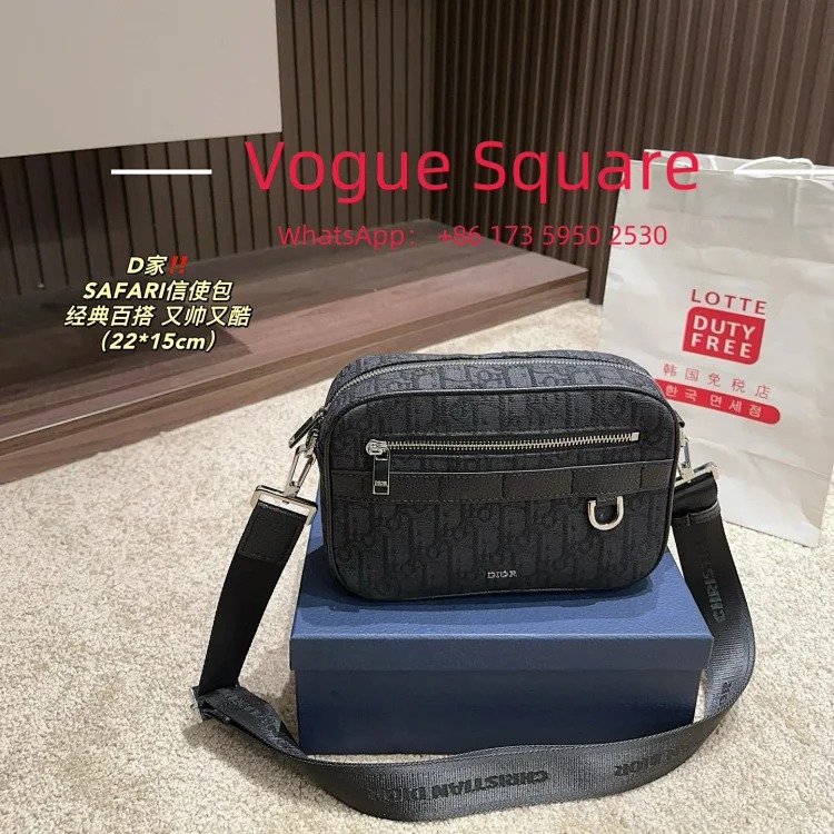 Louis Vuitton D presbyopic camera bag 22x15