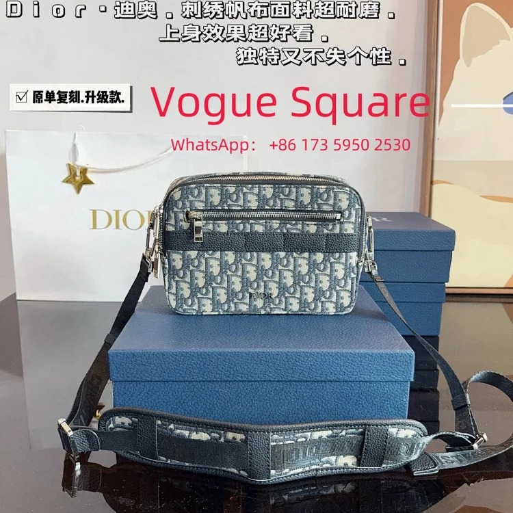 Louis Vuitton D presbyopic camera bag 22x15