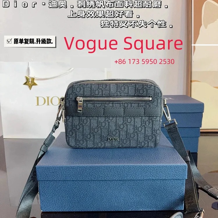 Louis Vuitton D presbyopic camera bag 22x15