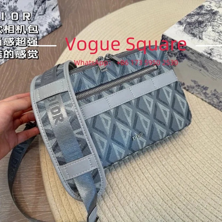 Louis Vuitton D presbyopic camera bag 22x15