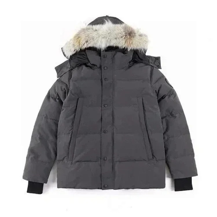 Classic versatile fashionable down jacket GO15 image 2