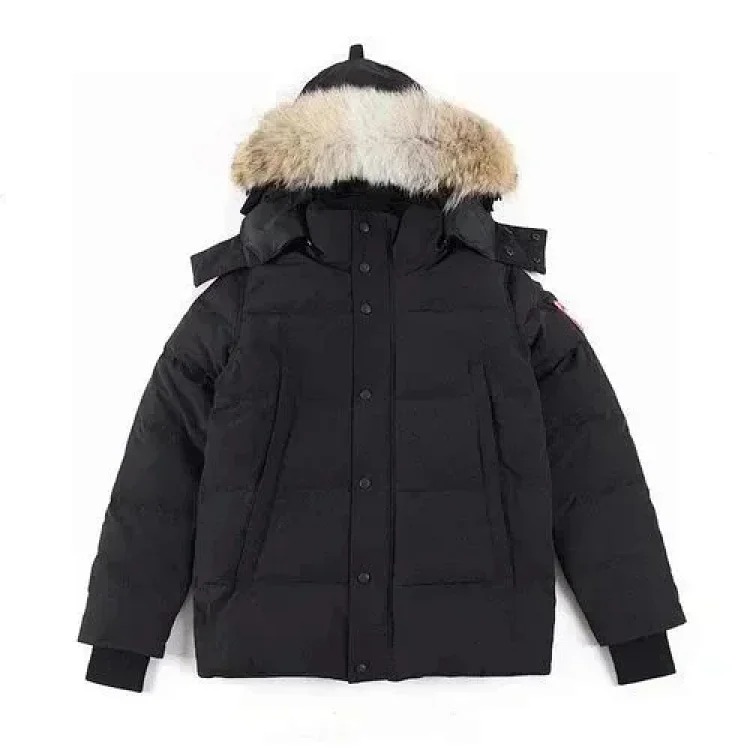 Classic versatile fashionable down jacket GO15 image 4