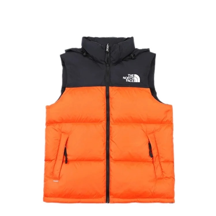 The North Face Tnf vest 1996