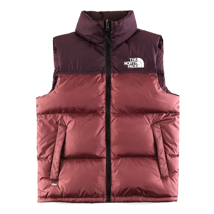 The North Face Tnf vest 1996