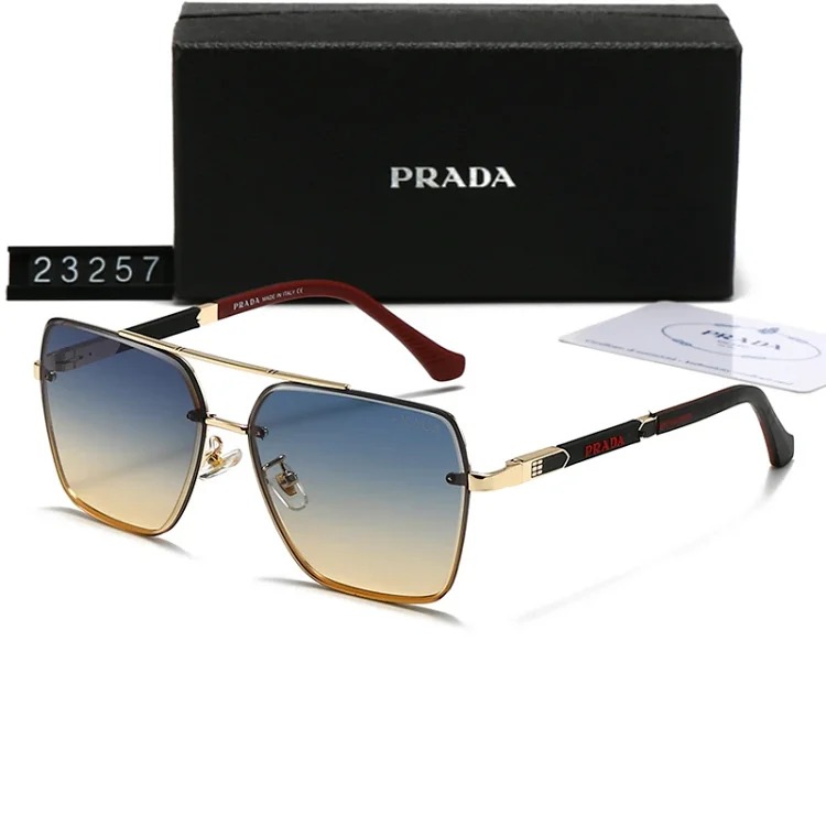 DX129-1 new style sunglasses with large frame and small face (159/160/2303/2312/23257/23258)-SRCN