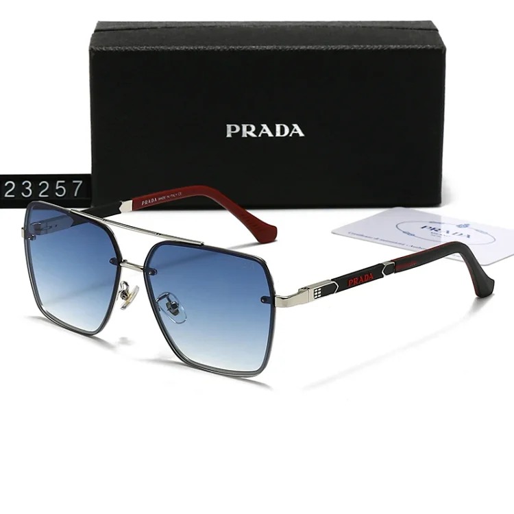 DX129-1 new style sunglasses with large frame and small face (159/160/2303/2312/23257/23258)-SRCN