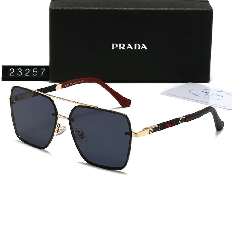 DX129-1 new style sunglasses with large frame and small face (159/160/2303/2312/23257/23258)-SRCN
