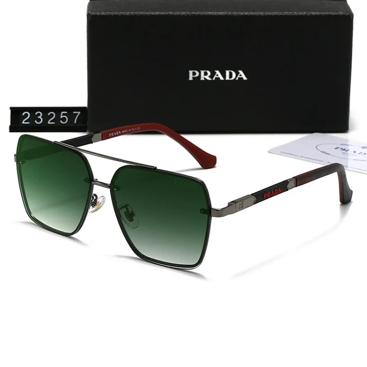 DX129-1 new style sunglasses with large frame and small face (159/160/2303/2312/23257/23258)-SRCN