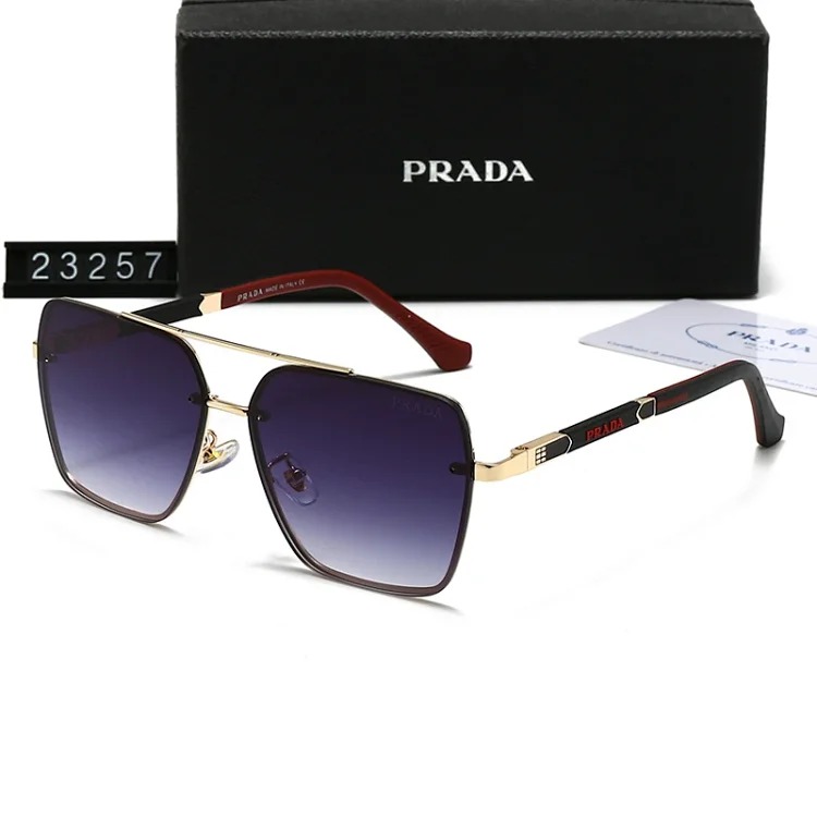 DX129-1 new style sunglasses with large frame and small face (159/160/2303/2312/23257/23258)-SRCN