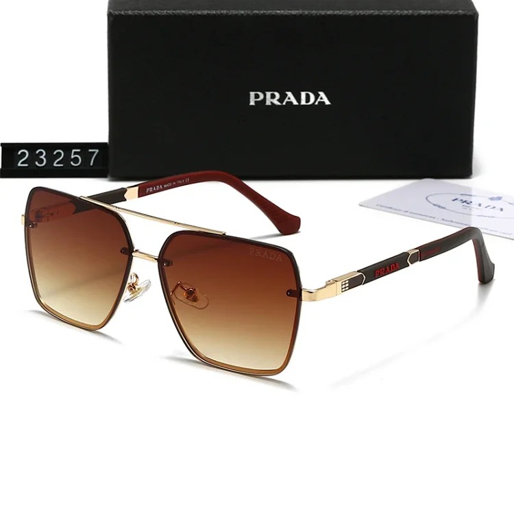 DX129-1 new style sunglasses with large frame and small face (159/160/2303/2312/23257/23258)-SRCN