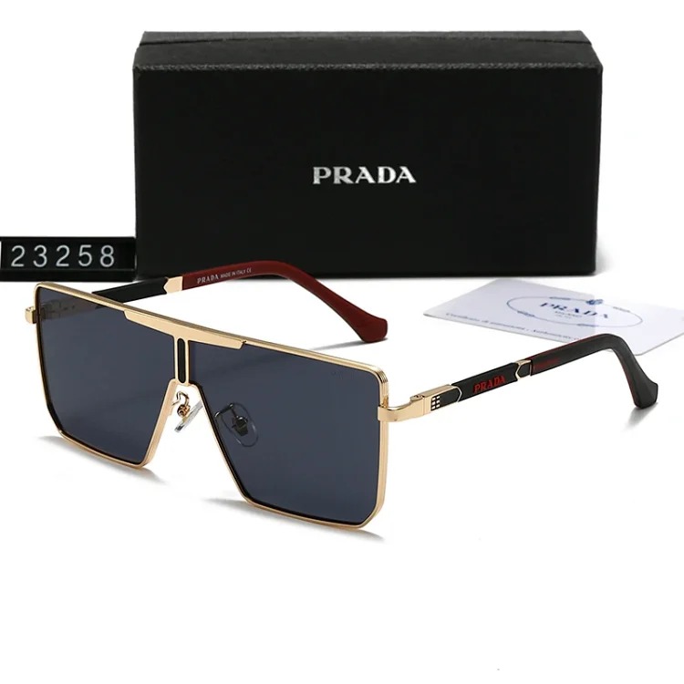 DX129-1 new style sunglasses with large frame and small face (159/160/2303/2312/23257/23258)-SRCN