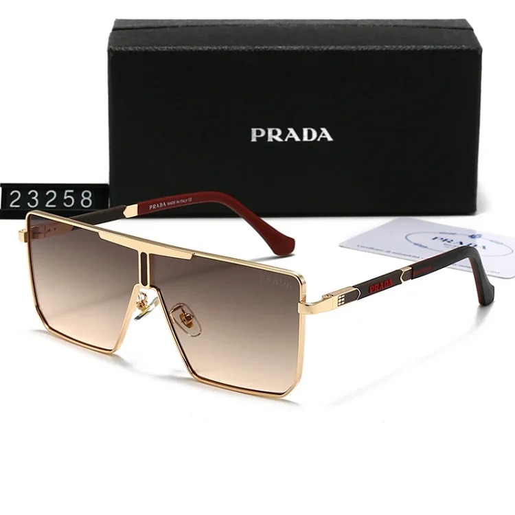 DX129-1 new style sunglasses with large frame and small face (159/160/2303/2312/23257/23258)-SRCN