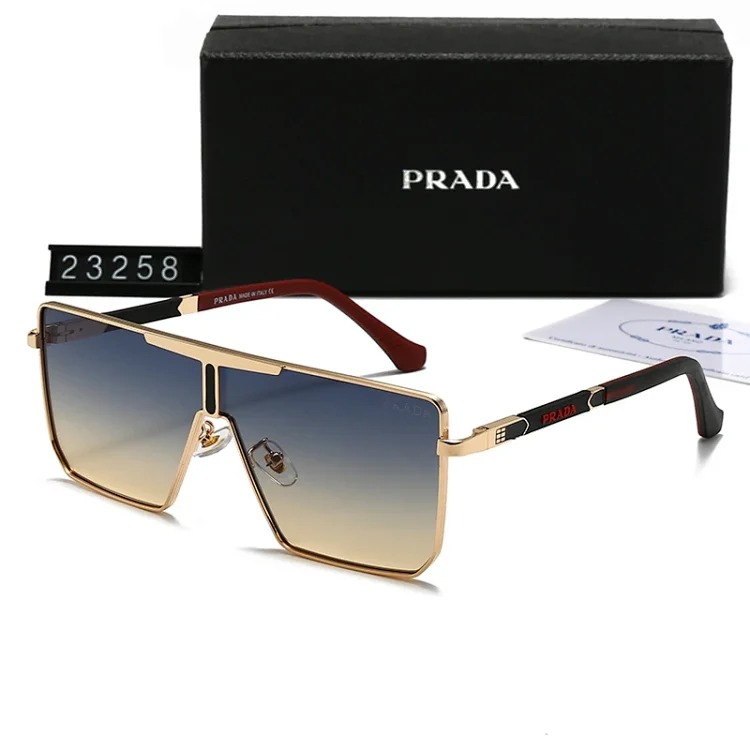 DX129-1 new style sunglasses with large frame and small face (159/160/2303/2312/23257/23258)-SRCN