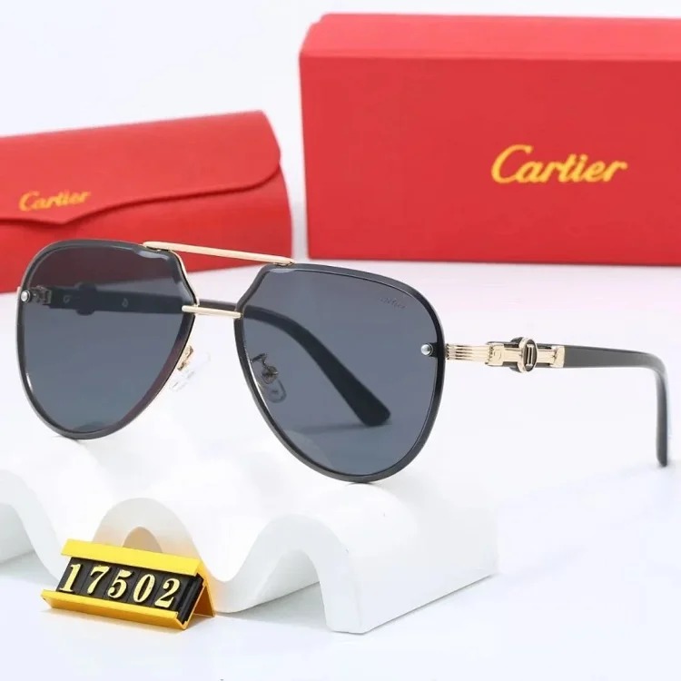 New fashion trendy sunglasses 081