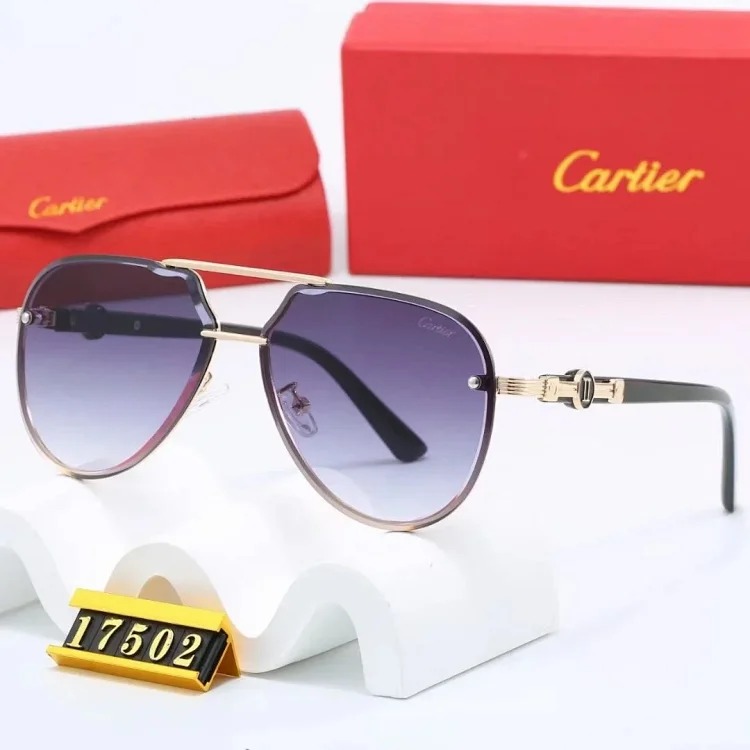 New fashion trendy sunglasses 081