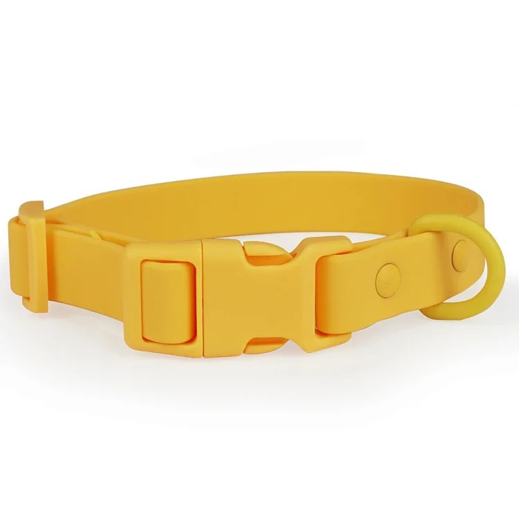 Wow cross-border spot macaron color PVC pet collar leash set comfortable and soft dog collar dog leash image 5