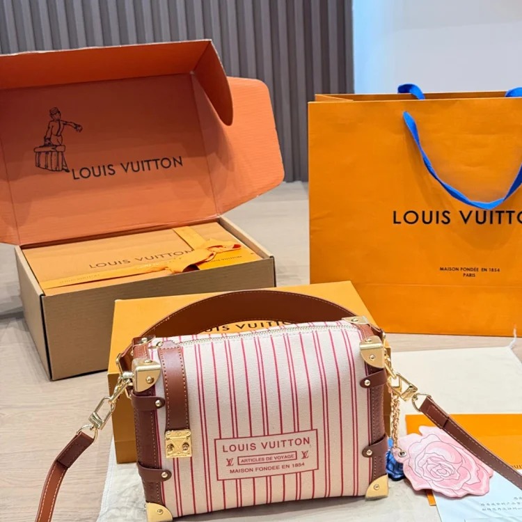 Louis Vuitton Flight Mode handbag Vanity chain handbag pink Metis horizontal messenger bag speedy pillow bag All In BB handbag Coussin pm new chain bag new saddle bag new Kai backpack parach