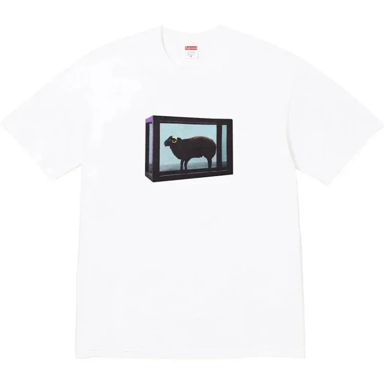 Letter short sleeves