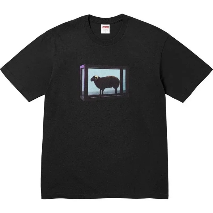 Letter short sleeves