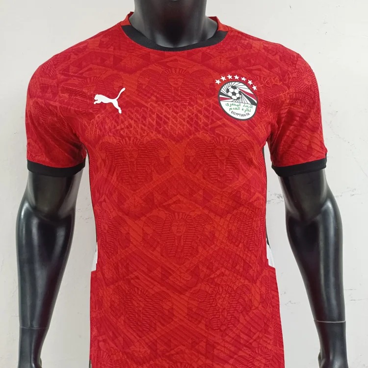 Football Jersey(498)