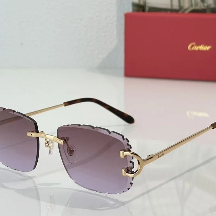 Louis Vuitton CT 0092 1:1 original material complete package