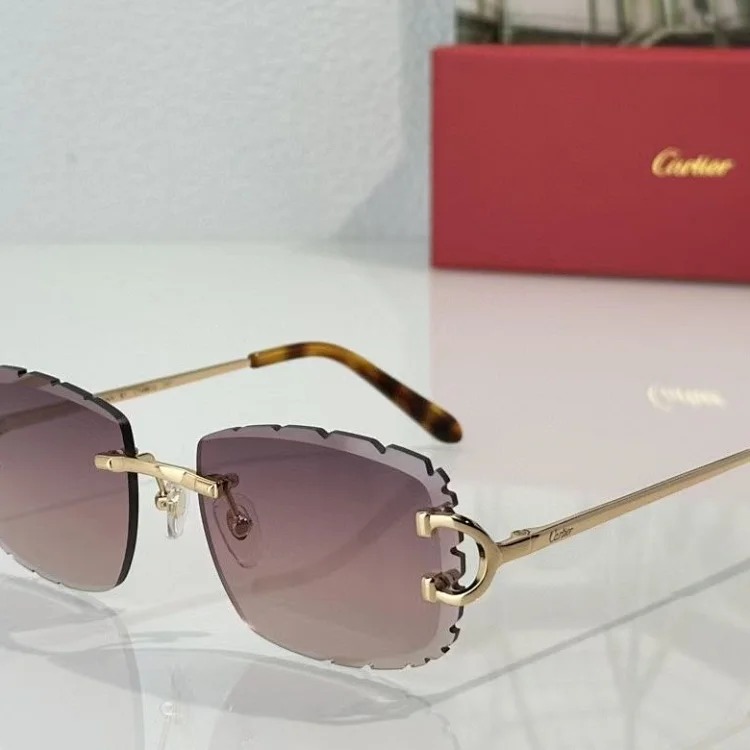 Louis Vuitton CT 0092 1:1 original material complete package
