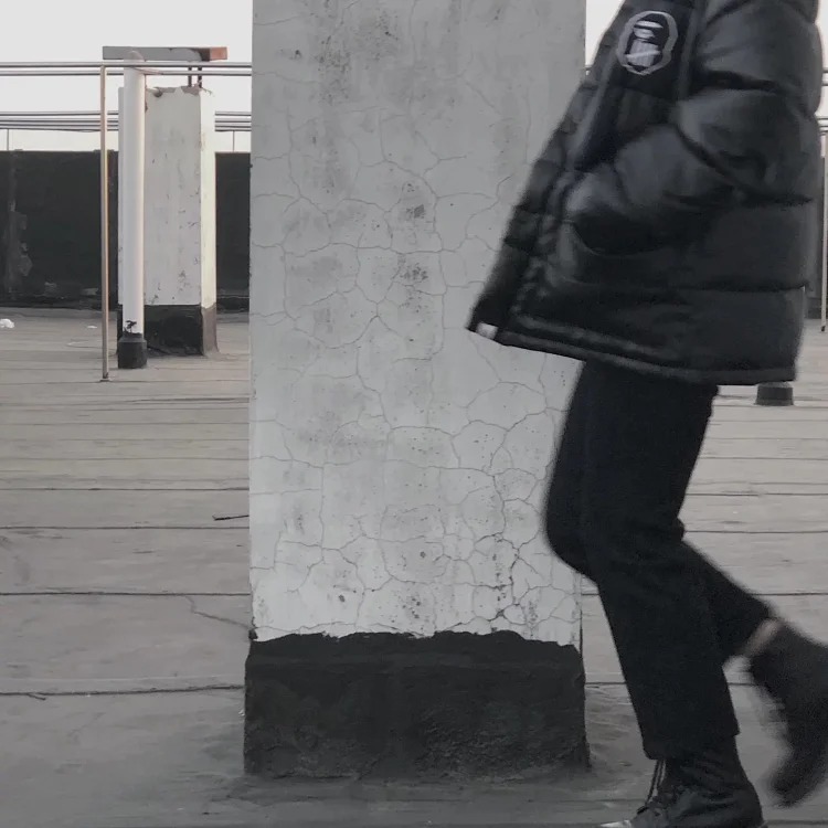 Joint wallet, ape head logo down jacket, cotton coat