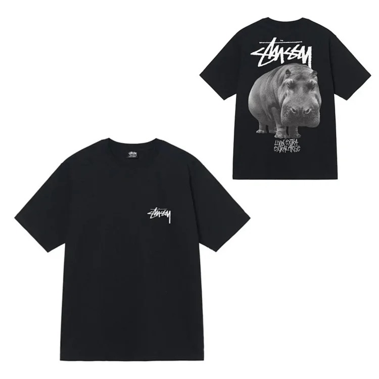 Stusy T-shirt