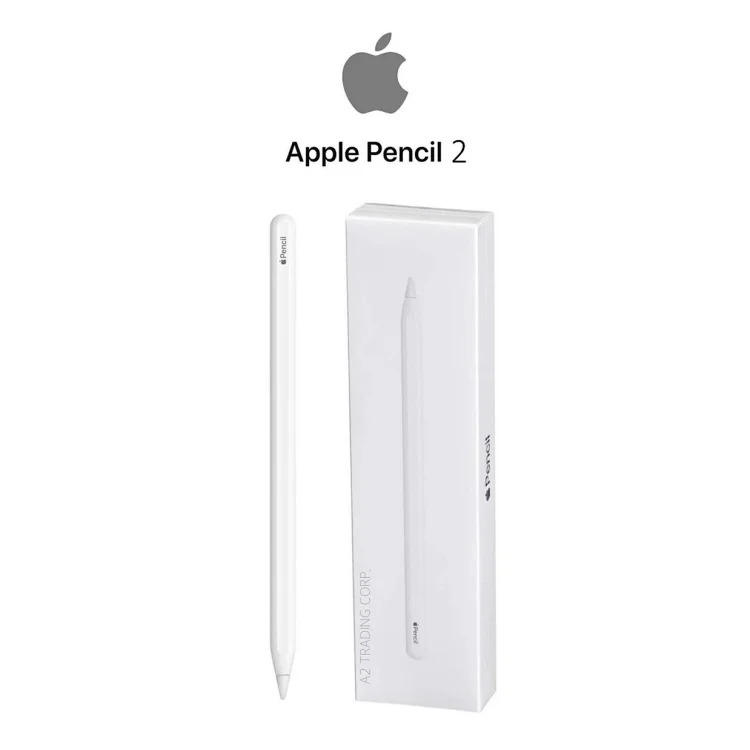 Ap Pencil 2