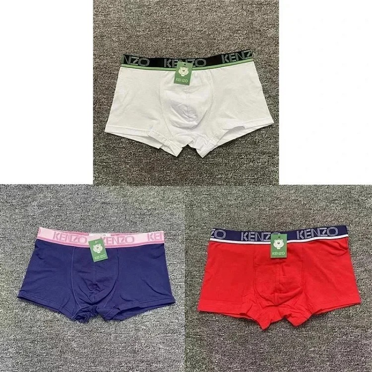 Fashion trendy underwear image 3